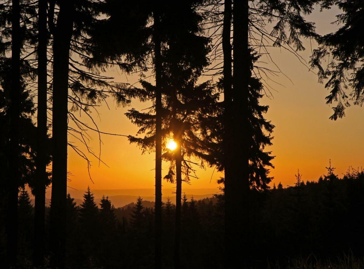 Extrablatt Lägenhet Oberhof  Exteriör bild