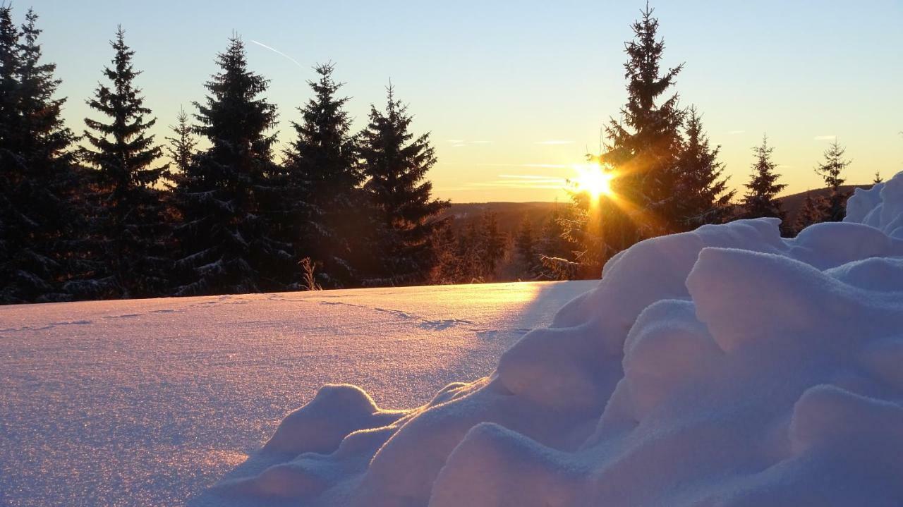 Extrablatt Lägenhet Oberhof  Exteriör bild